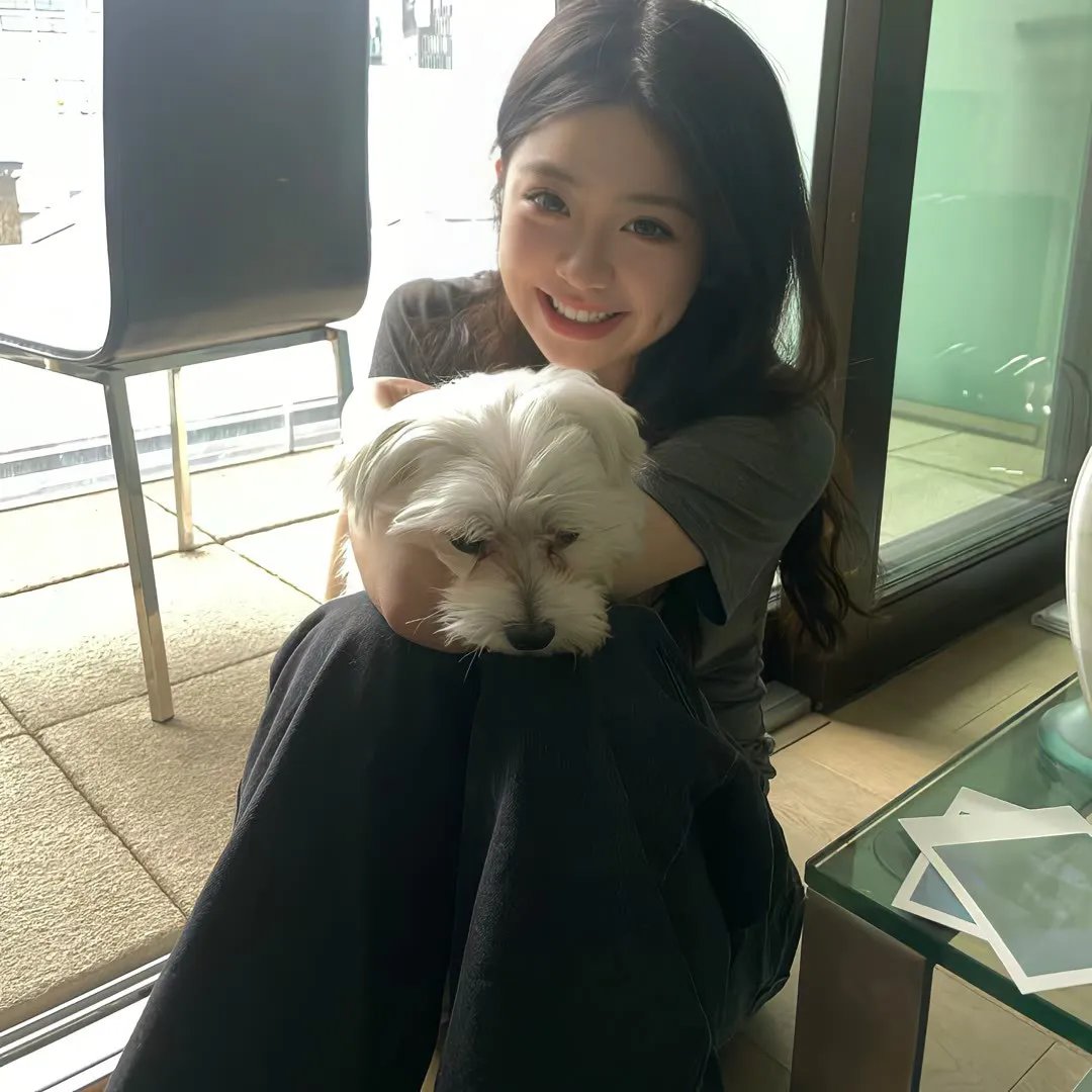 小野猫与斗牛犬